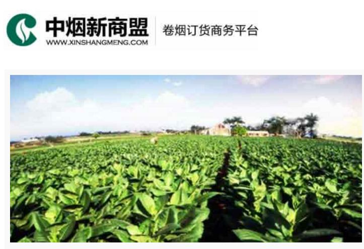 中烟新商盟卷烟订货商务平台-如意彩